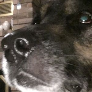 Meet your Posher, Troy